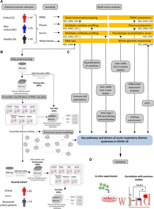 乐动综合版访问方式详细解析