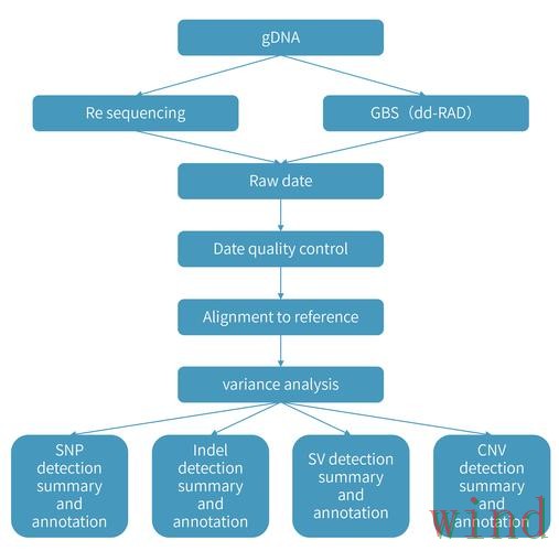 乐动综合版访问方式详细解析